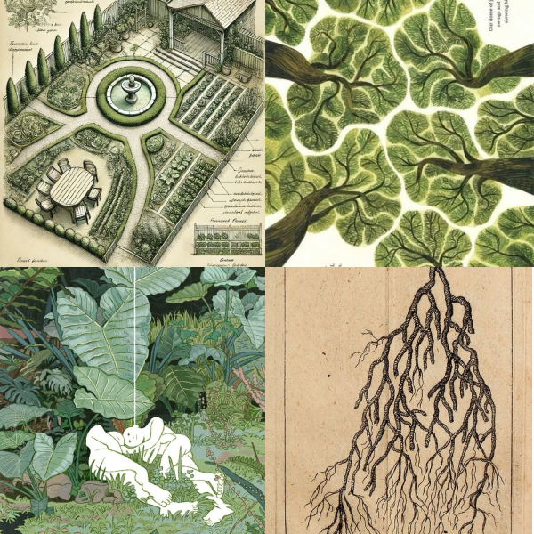 Visual pattern research developed by SCM Studio for Andras Garden Heaven. 2025